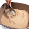 Stainless Steel Kitty Litter Scoop RSVP 4.75x2.5x11.25 Inch-1