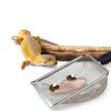 SunGrow Reptile Sand Scoop Stainless Steel Non Slip Handle 11×4×2 in-3